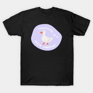 Everything Is A Social Construct T-Shirt